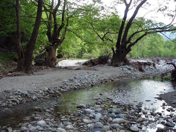 camping χιλιαδού ποτάμι εύβοια