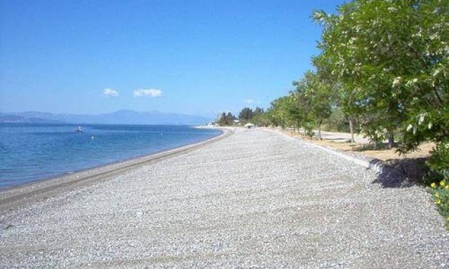 Παραλία Κοχύλι